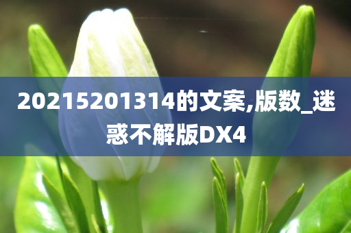 20215201314的文案,版数_迷惑不解版DX4