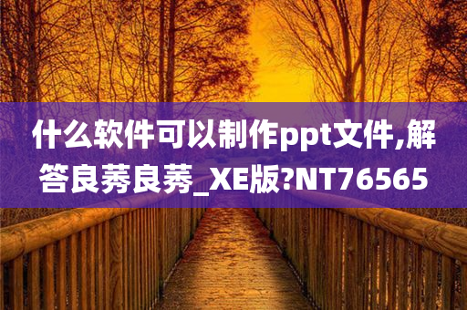 什么软件可以制作ppt文件,解答良莠良莠_XE版?NT76565