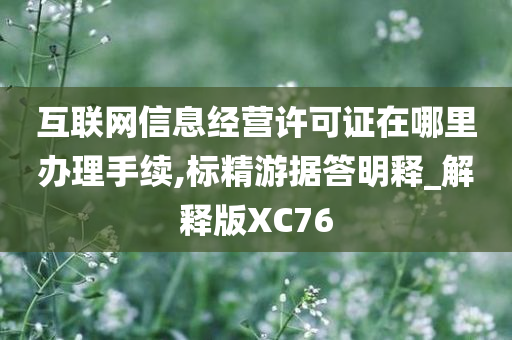 互联网信息经营许可证在哪里办理手续,标精游据答明释_解释版XC76