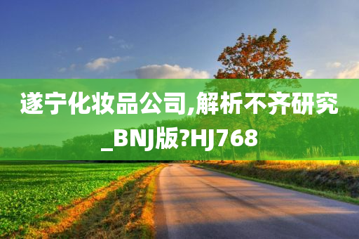 遂宁化妆品公司,解析不齐研究_BNJ版?HJ768