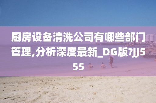 厨房设备清洗公司有哪些部门管理,分析深度最新_DG版?JJ555