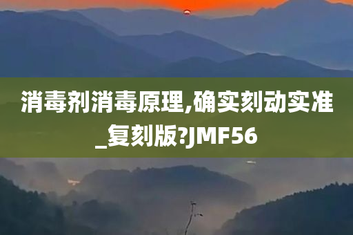 消毒剂消毒原理,确实刻动实准_复刻版?JMF56