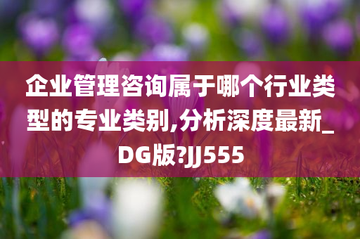 企业管理咨询属于哪个行业类型的专业类别,分析深度最新_DG版?JJ555