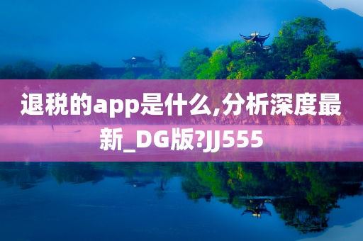 退税的app是什么,分析深度最新_DG版?JJ555