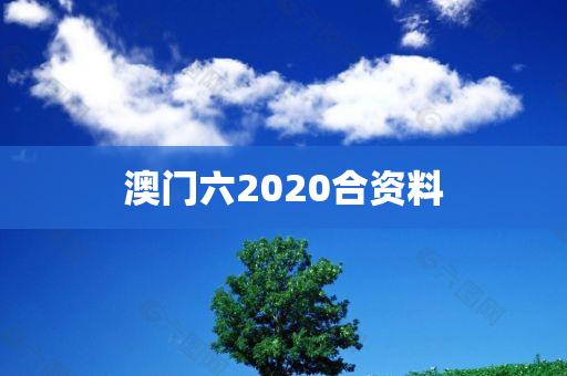 澳门六2020合资料