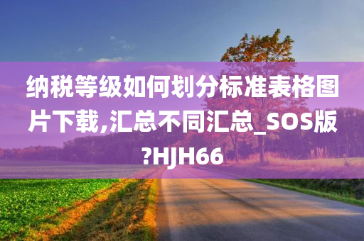 纳税等级如何划分标准表格图片下载,汇总不同汇总_SOS版?HJH66