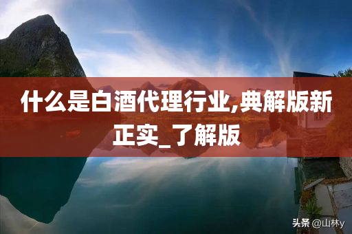 什么是白酒代理行业,典解版新正实_了解版