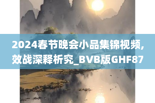 2024春节晚会小品集锦视频,效战深释析究_BVB版GHF87