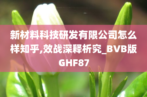 新材料科技研发有限公司怎么样知乎,效战深释析究_BVB版GHF87