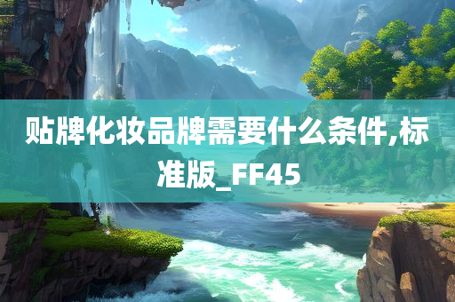 贴牌化妆品牌需要什么条件,标准版_FF45