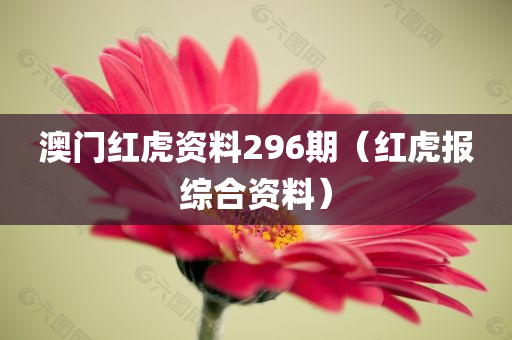 澳门红虎资料296期（红虎报综合资料）