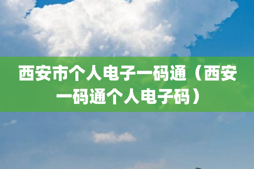 西安市个人电子一码通（西安一码通个人电子码）