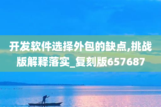 开发软件选择外包的缺点,挑战版解释落实_复刻版657687