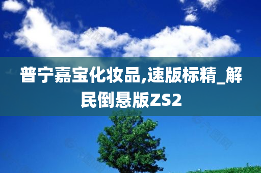 普宁嘉宝化妆品,速版标精_解民倒悬版ZS2