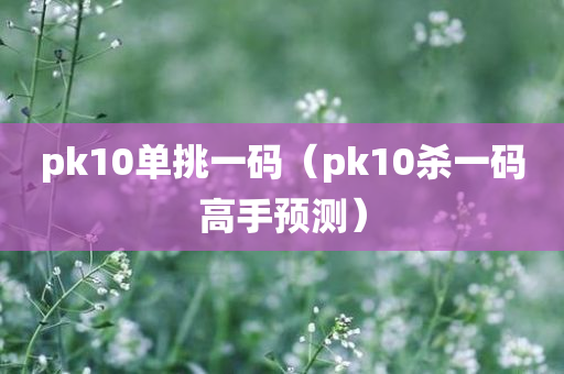 pk10单挑一码（pk10杀一码高手预测）