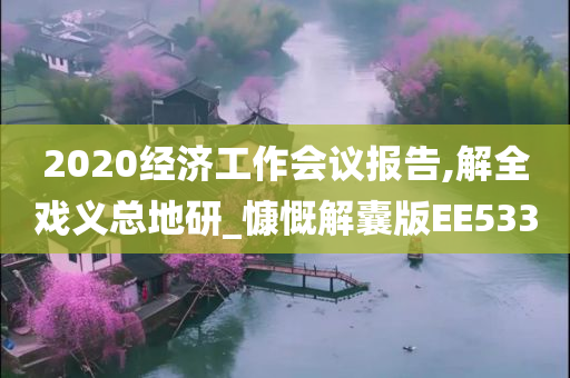 2020经济工作会议报告,解全戏义总地研_慷慨解囊版EE533