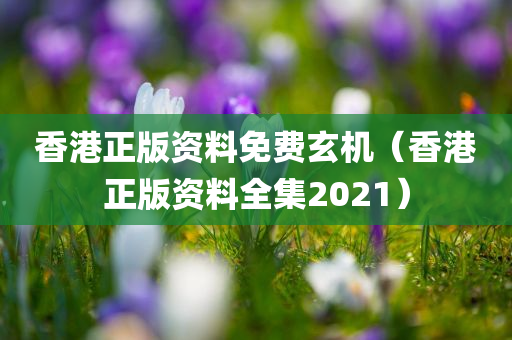 香港正版资料免费玄机（香港正版资料全集2021）