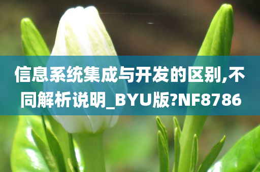 信息系统集成与开发的区别,不同解析说明_BYU版?NF8786