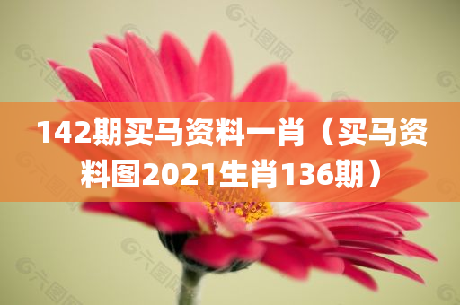 142期买马资料一肖（买马资料图2021生肖136期）