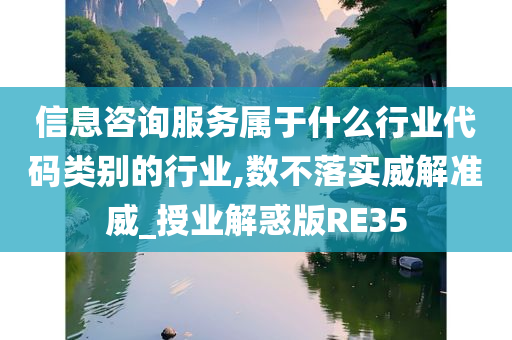 信息咨询服务属于什么行业代码类别的行业,数不落实威解准威_授业解惑版RE35