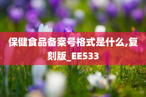 保健食品备案号格式是什么,复刻版_EE533