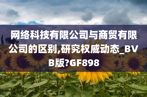 网络科技有限公司与商贸有限公司的区别,研究权威动态_BVB版?GF898