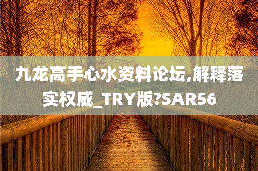 九龙高手心水资料论坛,解释落实权威_TRY版?SAR56