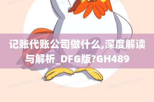 记账代账公司做什么,深度解读与解析_DFG版?GH489