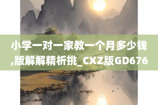 小学一对一家教一个月多少钱,版解解精析挑_CXZ版GD676