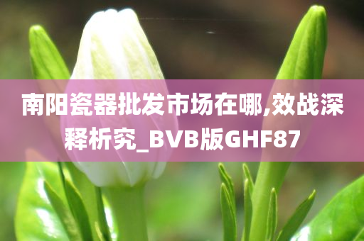 南阳瓷器批发市场在哪,效战深释析究_BVB版GHF87