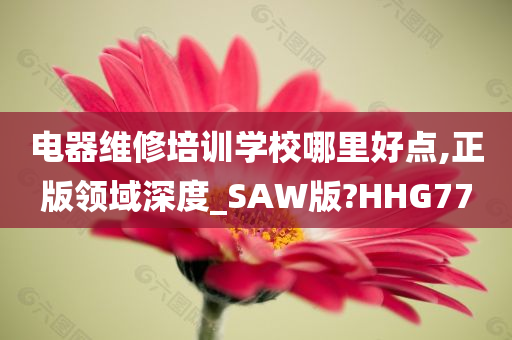 电器维修培训学校哪里好点,正版领域深度_SAW版?HHG77