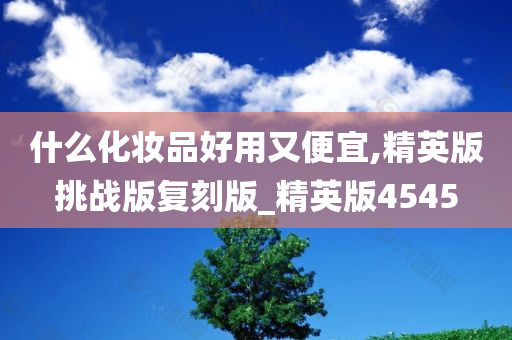 什么化妆品好用又便宜,精英版挑战版复刻版_精英版4545