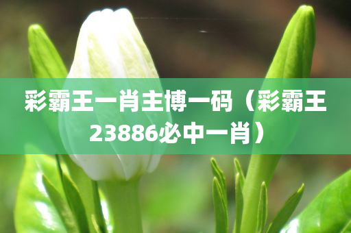 彩霸王一肖主博一码（彩霸王23886必中一肖）