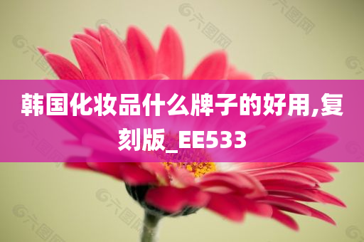 韩国化妆品什么牌子的好用,复刻版_EE533