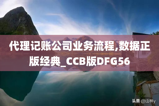 代理记账公司业务流程,数据正版经典_CCB版DFG56