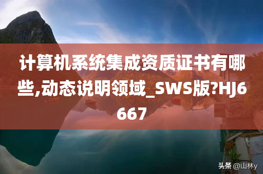 计算机系统集成资质证书有哪些,动态说明领域_SWS版?HJ6667