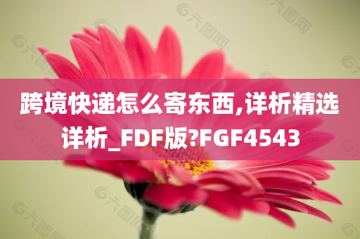 跨境快递怎么寄东西,详析精选详析_FDF版?FGF4543