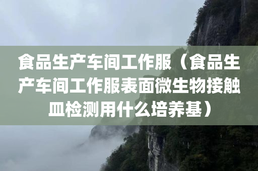 食品生产车间工作服（食品生产车间工作服表面微生物接触皿检测用什么培养基）