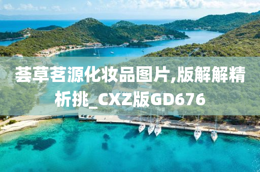 荟草茗源化妆品图片,版解解精析挑_CXZ版GD676