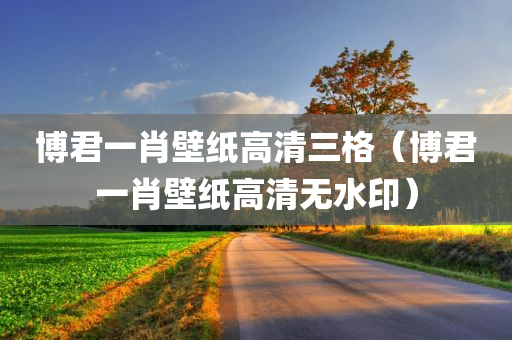 博君一肖壁纸高清三格（博君一肖壁纸高清无水印）