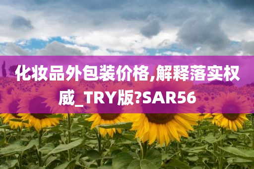 化妆品外包装价格,解释落实权威_TRY版?SAR56