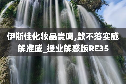 伊斯佳化妆品贵吗,数不落实威解准威_授业解惑版RE35