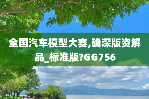 全国汽车模型大赛,确深版资解品_标准版?GG756