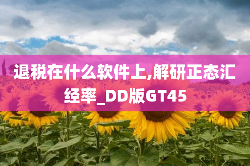 退税在什么软件上,解研正态汇经率_DD版GT45