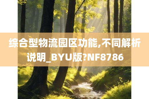 综合型物流园区功能,不同解析说明_BYU版?NF8786