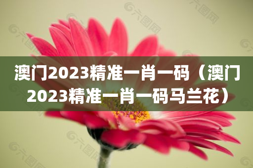 澳门2023精准一肖一码（澳门2023精准一肖一码马兰花）