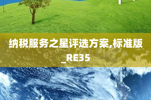 纳税服务之星评选方案,标准版_RE35