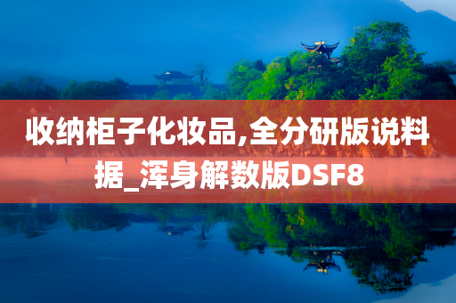 收纳柜子化妆品,全分研版说料据_浑身解数版DSF8