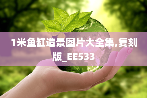 1米鱼缸造景图片大全集,复刻版_EE533