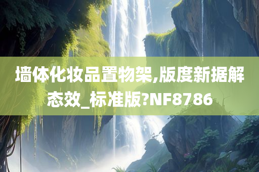 墙体化妆品置物架,版度新据解态效_标准版?NF8786